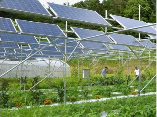 Điện mặt trời cho hệ thống tưới tiêu trong ngành nông nghiệp